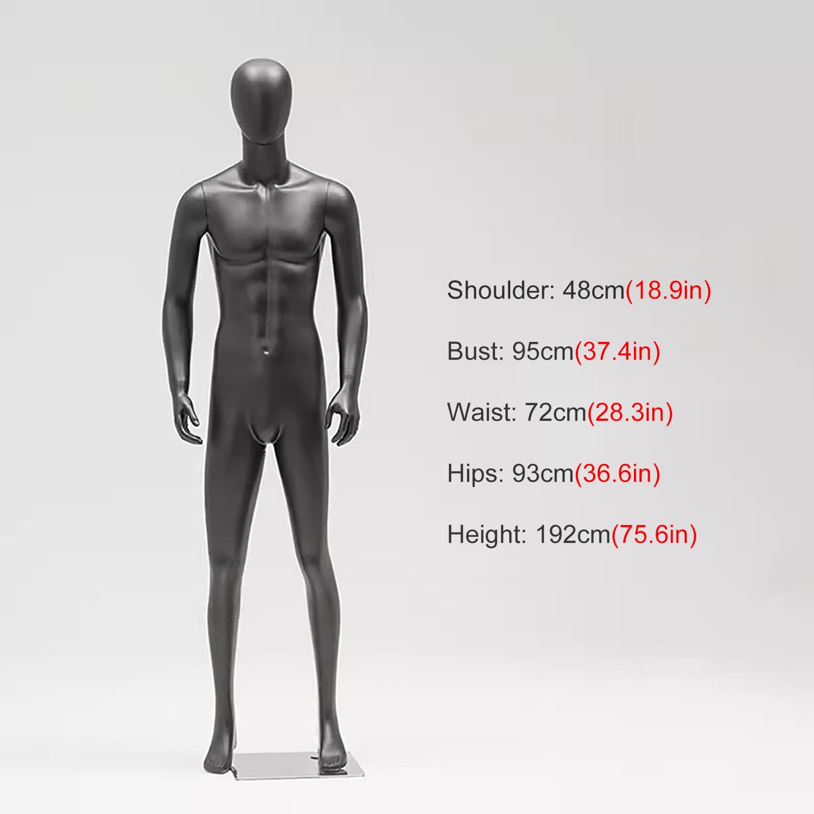 Amazon.co.jp: 男性トルソー マネキン ドレスフォーム